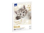 Skicák MFP
