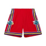 Mitchell & Ness Pánské kraťasy New Orleans Pelicans NBA New Orleans Hornets 2006-07 Swingman Shorts Velikost: L