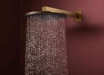 HANSGROHE - Raindance Alive S Hlavová sprcha, průměr 30 cm, kartáčovaný bronz 24520140