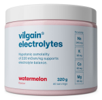 Vilgain Elektrolyty – meloun 320 g