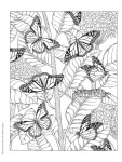 Creative Haven Nature Scapes, antistresové omalovánky, Patricia J. Wynne