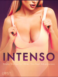 Intenso: Erotic Stories for When You Feel Adventurous - Julie Jones, Christina Tempest, Nicolas Lemarin, Marguerite Nousville
