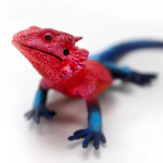 Safari Ltd. Safari Ltd. Figurka - Agama plochohlavá - Mwanza