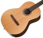 Godin Collection Clasica II