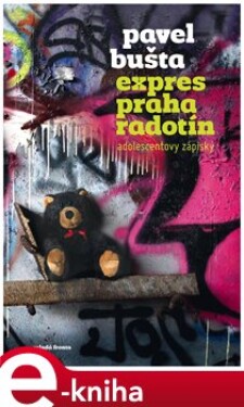 Expres Praha–Radotín. Adolescentovy zápisky - Pavel Bušta e-kniha