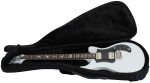 PRS S2 Standard 24 Satin Pearl White