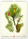 Nástěnný kalendář 2027 Notique Vintage herbář, 33 × 46 cm