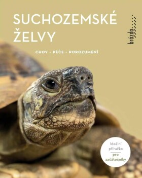 Suchozemské želvy - Chov, péče, porozumění - Manfred Rogner