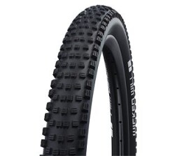 Schwalbe plášť Wicked Will 29x2.25 Addix Performance TLR skládací