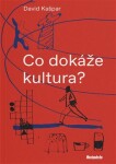 Co dokáže kultura? - David Kašpar