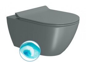 GSI - PURA závěsná WC mísa, Swirlflush, 36x55cm, agave dual-mat 881504