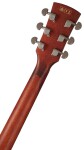 Ibanez PF10CE Natural