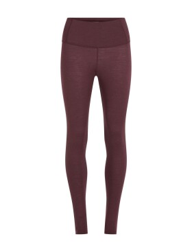 Dámské merino spodky ICEBREAKER Wmns 200 Oasis High Rise Leggings, Java velikost: S