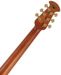Ovation CE44P-FLE-G