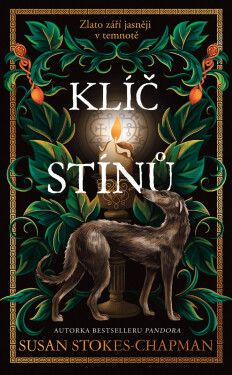 Klíč stínů - Susan Stokes-Chapman