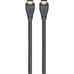 Digitus kabelový adaptér DisplayPort DP - HDMI typu A M - M 1.0 m / s blokováním DP 1.2 HDMI 2.0 / 4K / 60Hz / CE / bl (AK-340303-010-S)