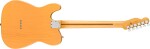 Fender American Professional Telecaster MN BSB