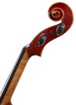 Gewa Ideale Violin Set 4/4 CB O