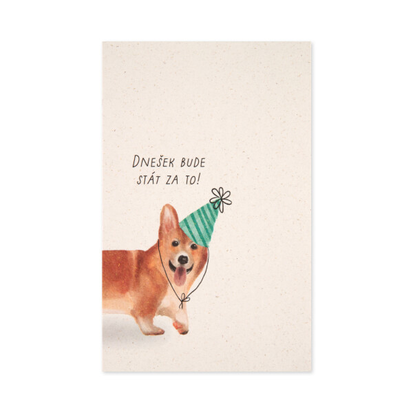 Přání k narozeninám - Corgi - Albi