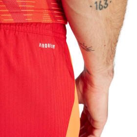 Šortky adidas Tiro 24 Competition Training M IK2245 L