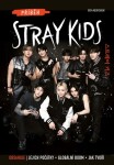 Příběh Stray Kids