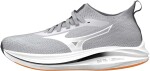 Mizuno Neo Zen J1GC258652 - Běžecké boty Mizuno NEO ZEN J1GC258652 Velikost obuvi v EU: 43