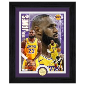 Obraz Los Angeles Lakers NBA LeBron James Artist Proof Bronze Coin