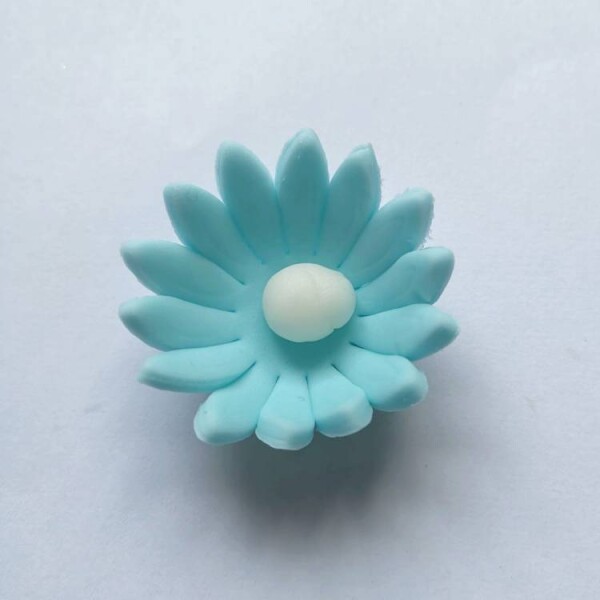 Dortisimo Cukrová sedmikráska malá světle modrá (25 ks)