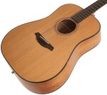 Furch Blue Plus D-CM CNR Active