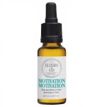 Les Fleurs de Bach - Bachovy bio esence Motivace 20ml