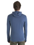 ICEBREAKER Mens Merino 260 Quantum IV LS Zip Hoodie, Dawn velikost: S