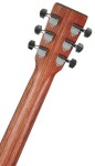 Martin LX1E