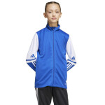 Mikina adidas Squadra 25 Training Jr JD4798 152 cm