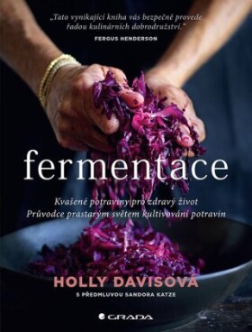 Fermentace - Holly Davisová - e-kniha