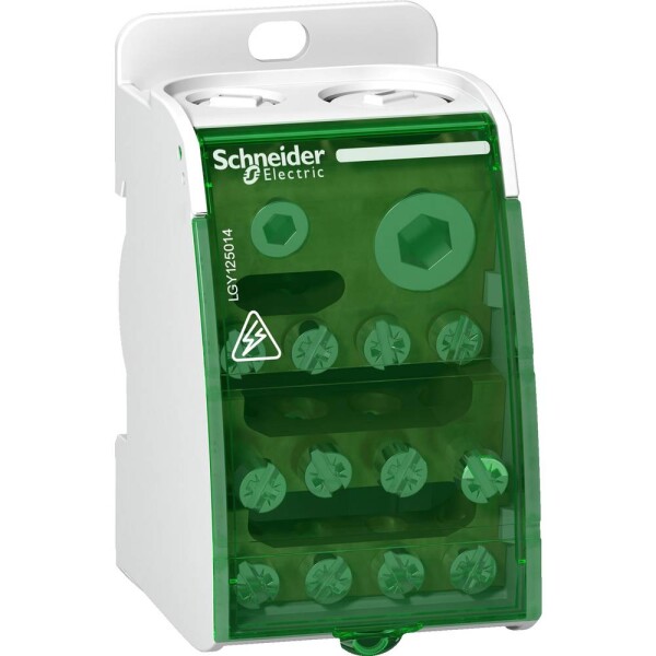Schneider Electric LGY125014 bílá 1 ks