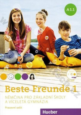 Beste Freunde pracovní sešit