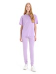 ICEBREAKER Wmns Granary SS Tee, Purple Gaze velikost: XS