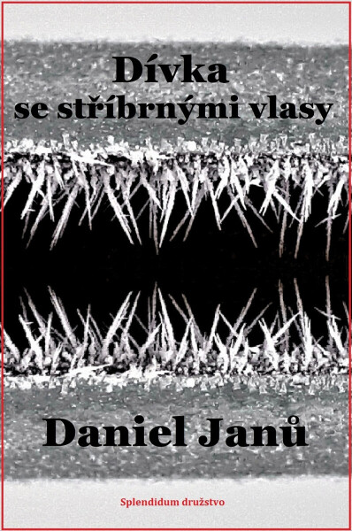 Dívka se stříbrnými vlasy - Daniel Janů