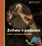 Zvířata v podzemí - Kniha s kouzelnou baterkou - Daniel Moignot