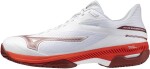 Tenisové boty Mizuno WAVE EXCEED COURT CC 61GC252062 Velikost obuvi v EU: 44,5