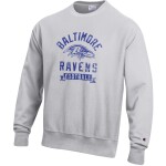 Mikina Baltimore Ravens NFL Champion Reverse Weave Fleece Pullover Velikost: M