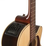 Takamine P5NC