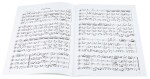 MS Flute Symphony