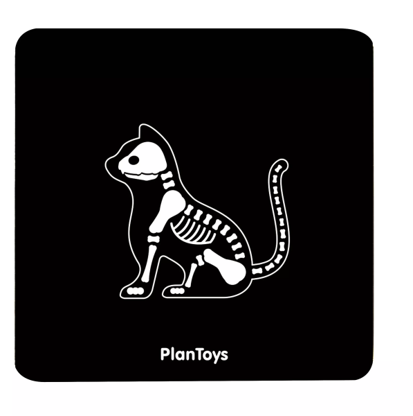 PlanToys PlanToys Veterinářský set