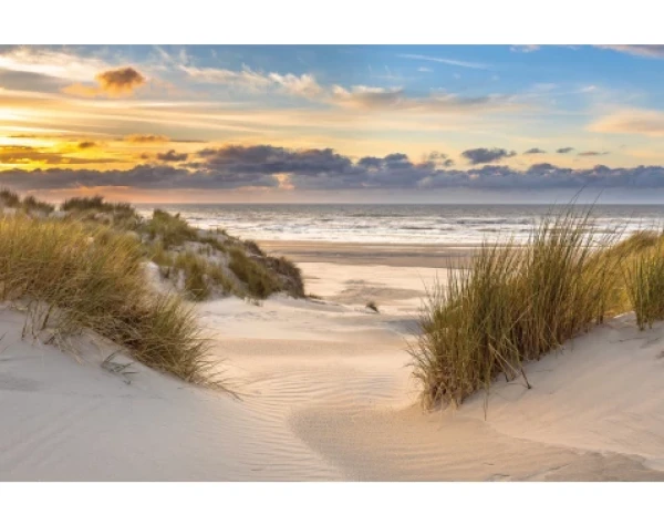 Obraz na plátně Písečná cesta k moři, 118x78 cm