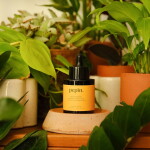 PEPIN Vyživující sérum pro kaktusy a sukulenty Cactus 60 ml, oranžová barva, sklo