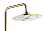 REA - Sprchový set STORM GOLD BRUSH REA-P9536