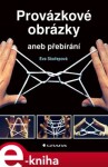 Provázkové obrázky. aneb přebírání - Eva Skořepová e-kniha