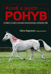 Koně jejich pohyb