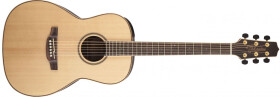 Takamine GY93E, Rosewood Fingerboard - Natural